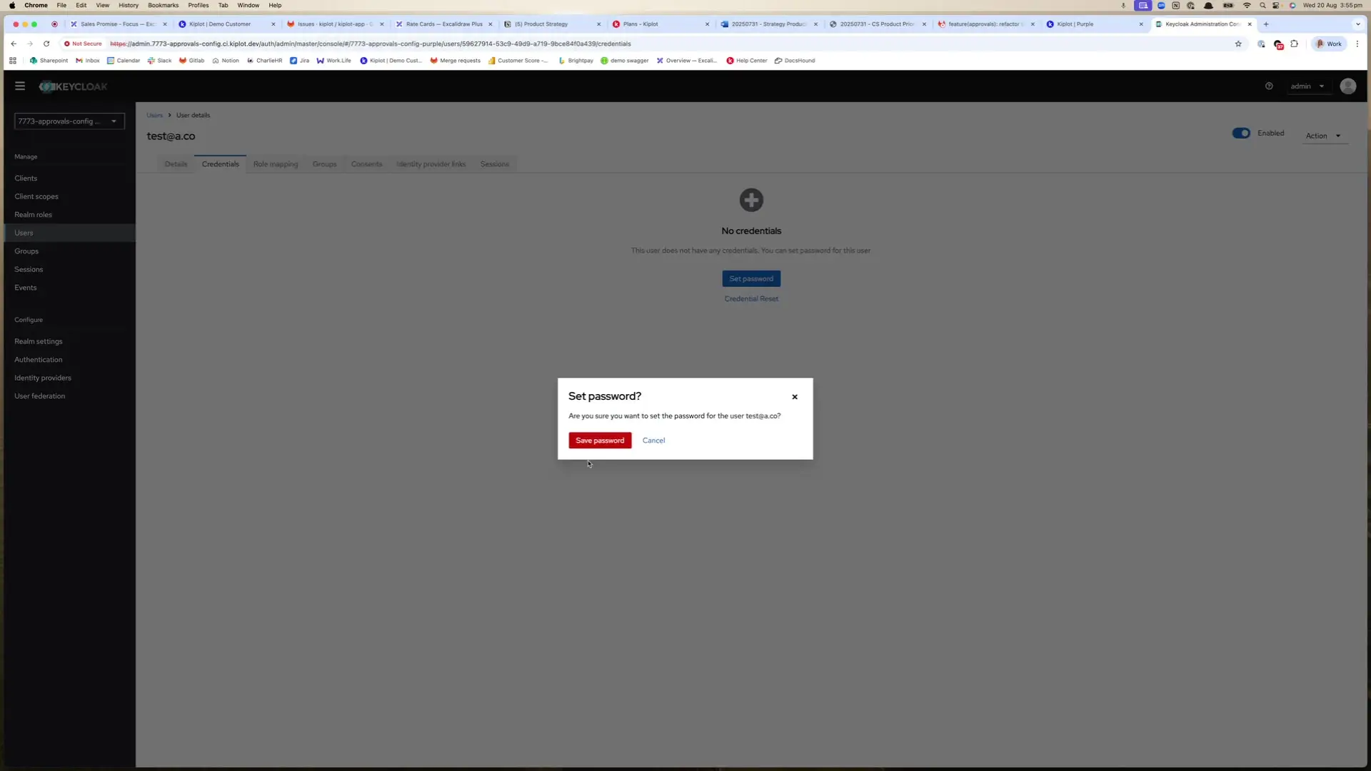 The screenshot shows the user details page in Kiplot, specifically the credentials tab. A prompt is displayed asking the user to confirm setting a password for the user test@a.co.